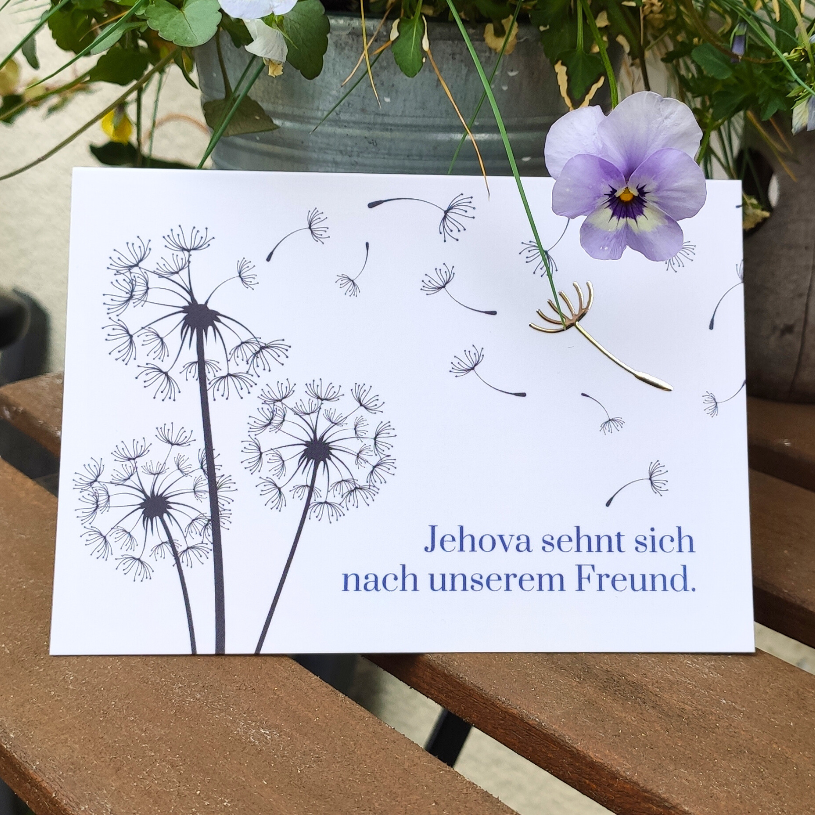 Titelansicht der Trauerkarte "Jehova sehnt sich nach unserem Freund" mit zartem Pusteblumen-Motiv und einem goldenen Samen, das die Hoffnung auf die Auferstehung symbolisiert.